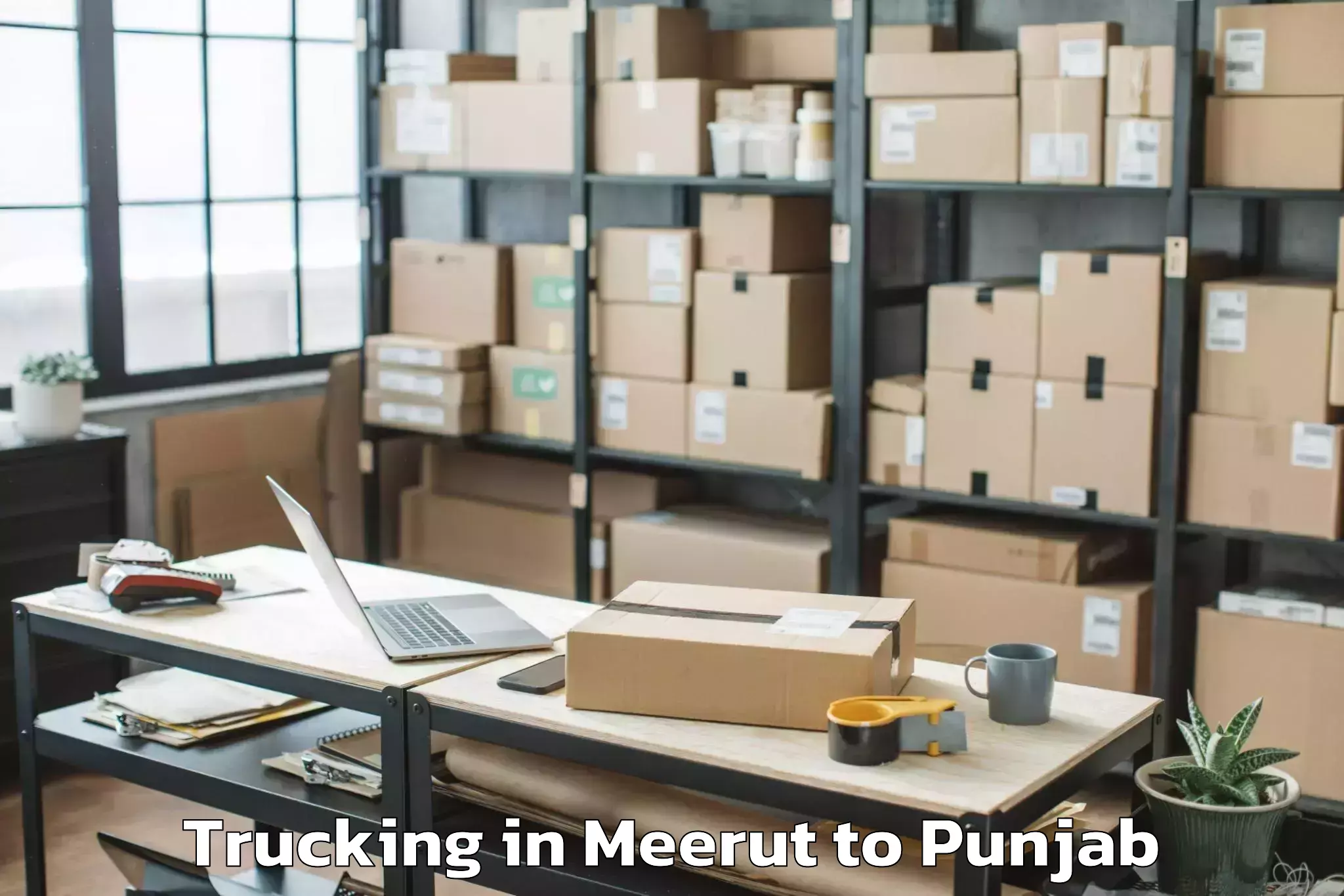 Book Meerut to Dasua Trucking Online